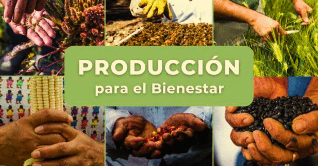 Producción para el Bienestar — registro de productores y padrón